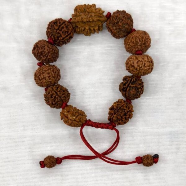 2 to 10 Mukhi Rudraksha Bracelet